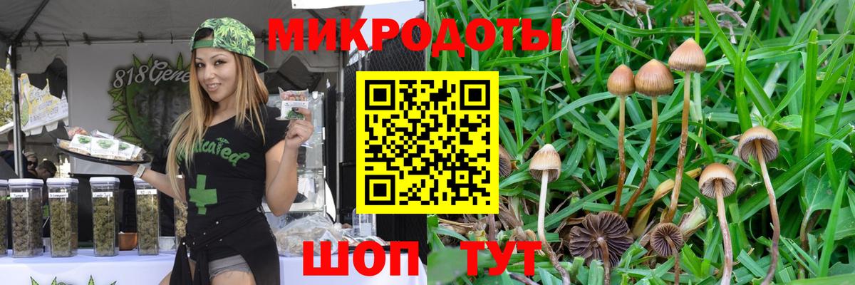 Камышлов  Псилоцибиновые грибы Cubensis  Вход с VPN  Псилоцибиновые грибы Psilocybe 